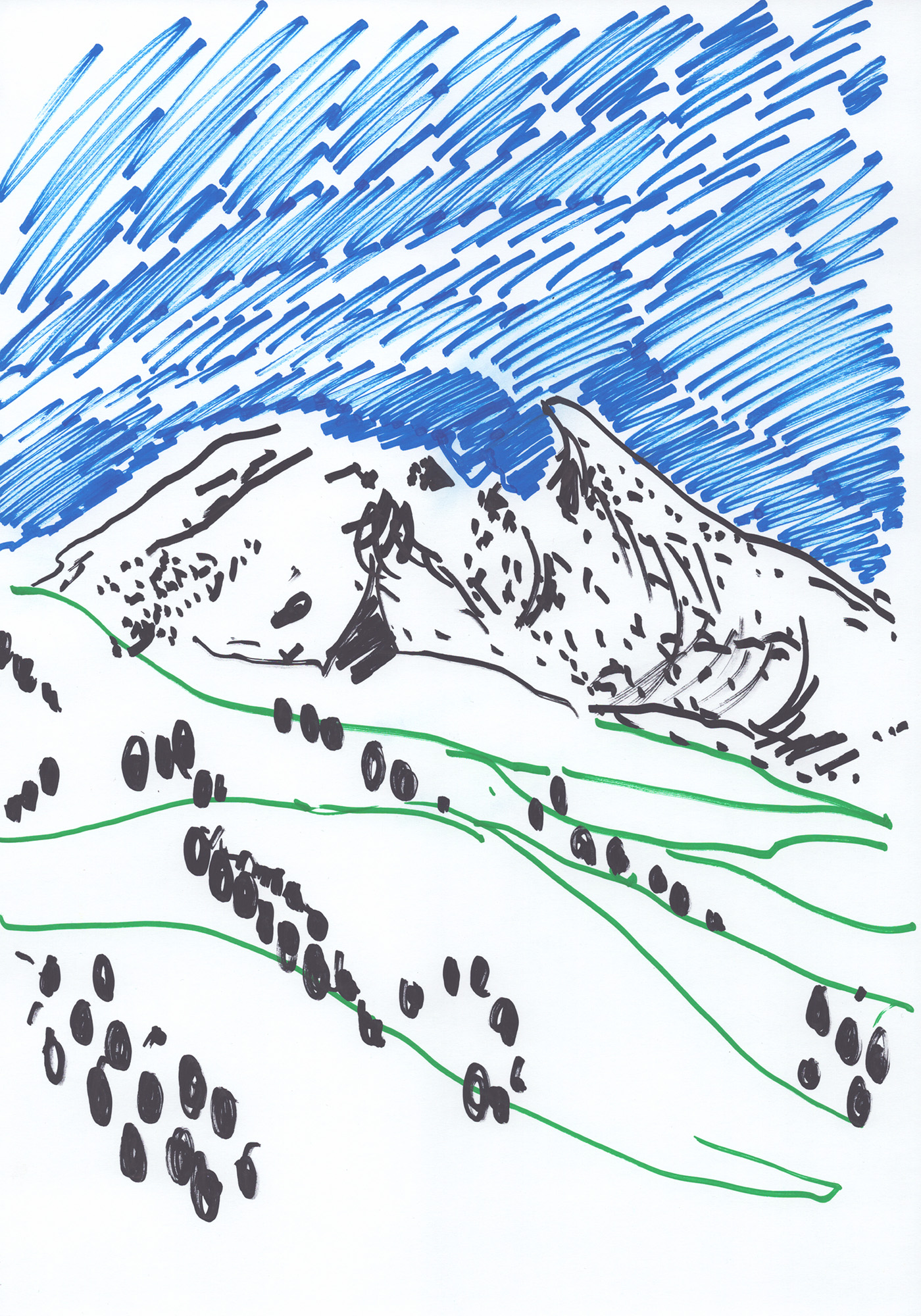 Bernhard Holaschke, drawing